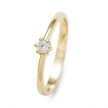 Colección "Classic" Compromiso Colección "Classic" Compromiso