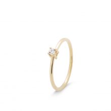 Colección "Classic" Compromiso Colección "Classic" Compromiso