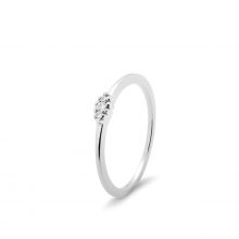 Colección "Bloom" Compromiso Colección "Bloom" Compromiso